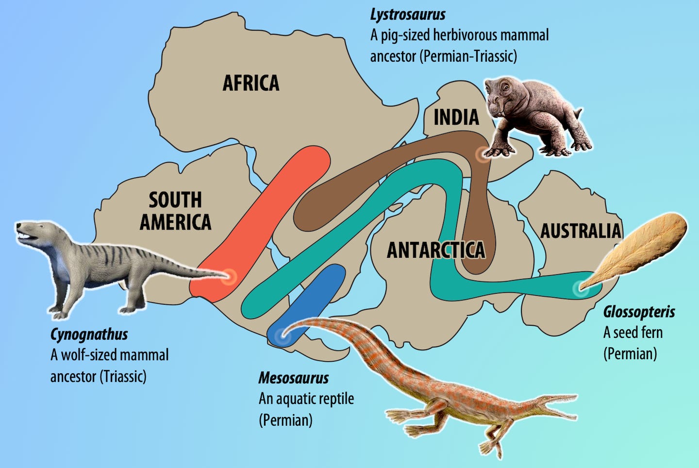 4.1 Alfred Wegener's Arguments for Plate Tectonics – Physical Geology – H5P  Edition V1.1