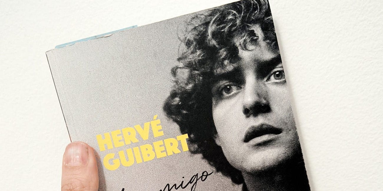 "Ao Amigo que não me Salvou a Vida", de Hervé Guibert