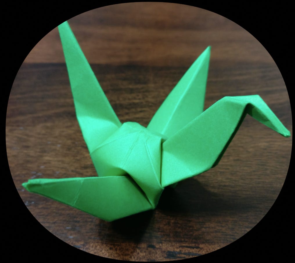 PaperBird’s Substack