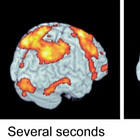 "Is it learning?" Online motor adaptation in end-to-end robotics