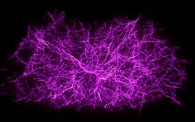 Astronomers use slime mold model to reveal dark threads of the ...