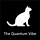 The Quantum Vibe