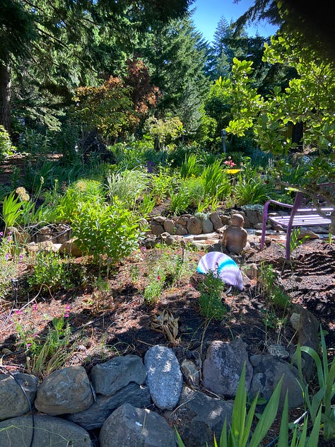 Garden Party photos