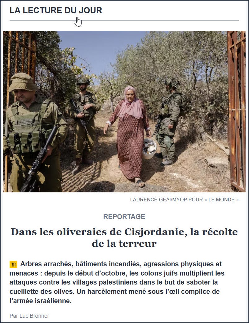 Une cueilleuse palestinienne marche dans une oliveraie de Cisjordanie, encadrée par des soldats israéliens lors de la récolte 2025. L’image, présentée par Le Monde comme scène d’accompagnement, contraste avec les nombreuses documentations de violences commises par des colons sous protection militaire dans la même région.