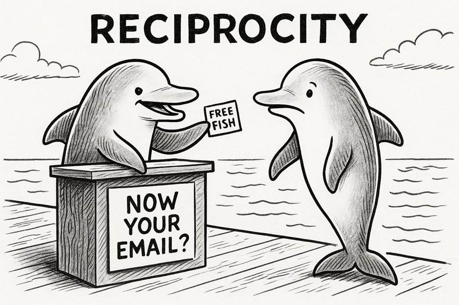 A cartoon of a dolphin and a dolphin

AI-generated content may be incorrect.