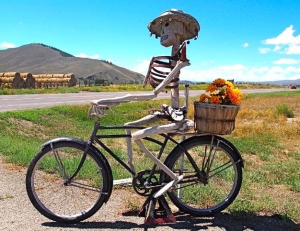 Gunnison bike wide