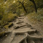 Stop Collecting Spiritual Practices. Choose One and Go Deep. 