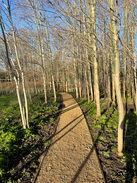 A clear brown path leading through think saplings; a stile with a yellow waymarker leading to a grassy patch of woodland; a narrow lane between orange leafed-trees on the left and neat hedging on the right