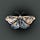 The Book Moth