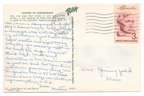 Vintage Autumn in Albuquerque New Mexico Postcard Posted 1959 - Picture 2 of 2
