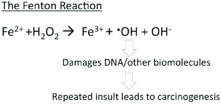 The Fenton reaction. The Fenton reaction involves iron II (Fe 2 + ) reacting with H 2 O 2 to yield a hydroxy radical ( OH) and a hydroxide ion (OH -). The hydroxy radical can cause damage to DNA and other biomolecules. Overexposure to these effects in the cell can lead to carcinogenesis. H 2 O 2 , hydrogen peroxide.