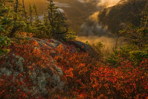 Cape Breton Fall Colors Photography Workshop