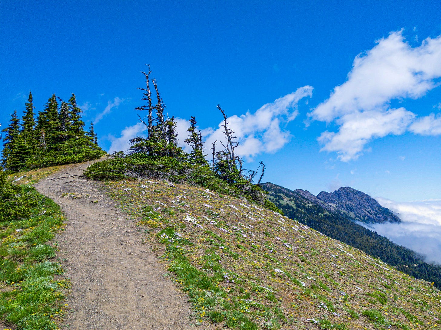 A trail leading to the top of a mountain on a clear, beautiful day. A trail leading to the top of a mountain on a clear, beautiful day.
