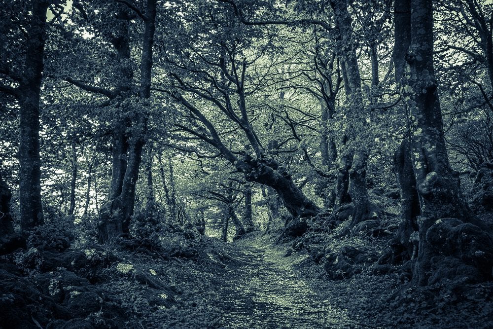 Apparent supernatural experiences in reportedly haunted locations were found in one study to be the result of infrasonic vibrations. Apparent supernatural experiences in reportedly haunted locations were found in one study to be the result of infrasonic vibrations.