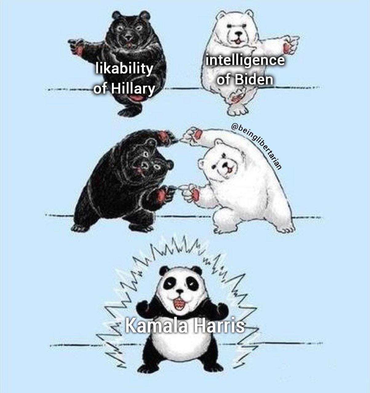 A group of bears fighting
Description automatically generated A group of bears fighting
Description automatically generated