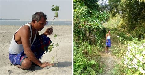 "Forest Man of India" Jadav Payeng Singlehandedly Revives Majuli Island ...