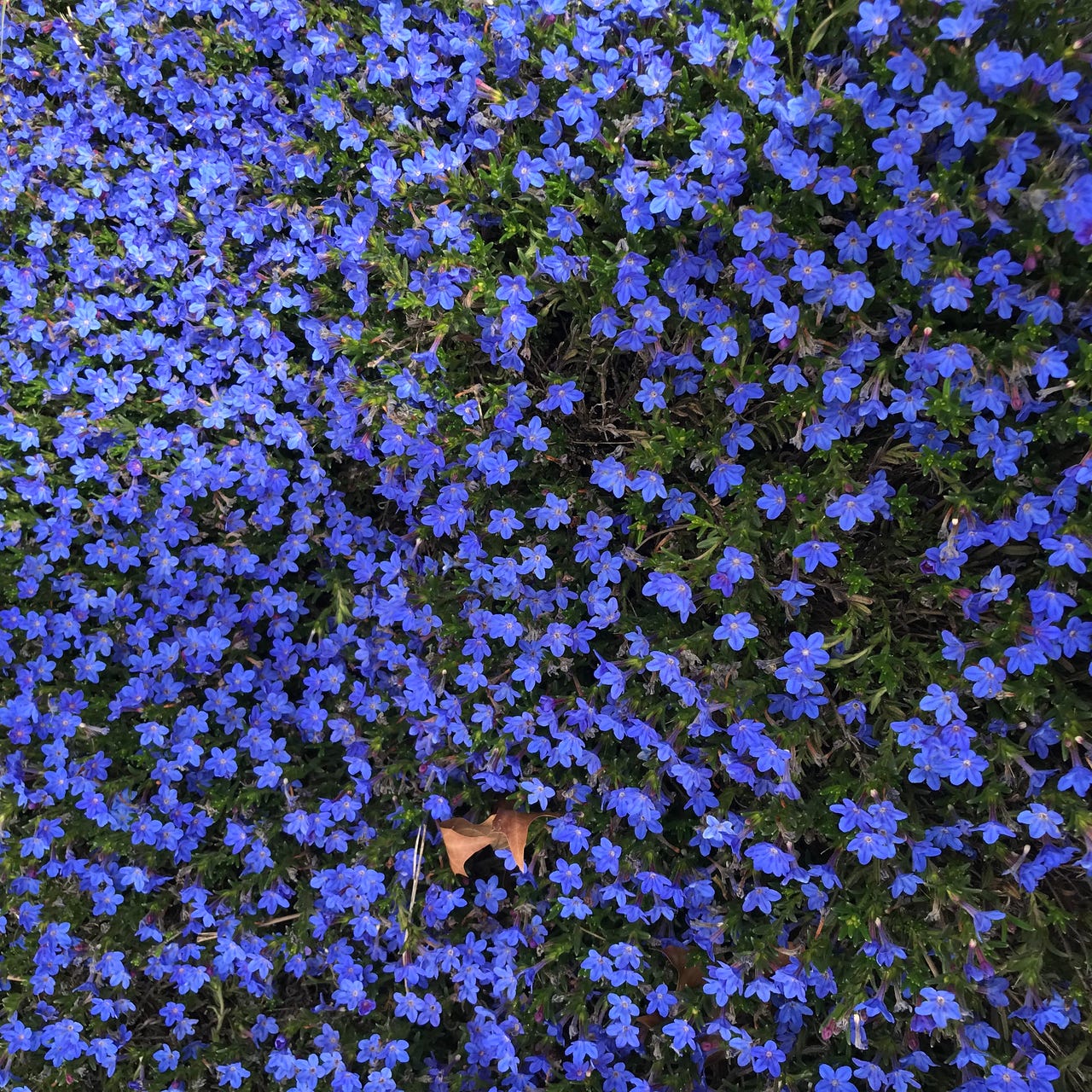 Read a Friend's Heart with Robert McDowell, Poet