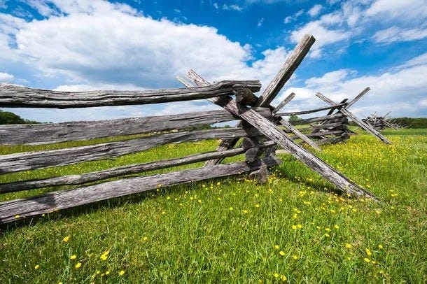 Wooden Fence Manassas National Battlefield Park with Yellow Flowers