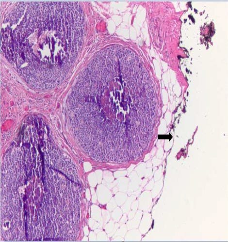 Fig. 5: