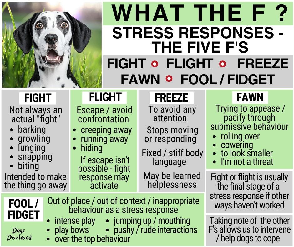 May be an image of dog and text