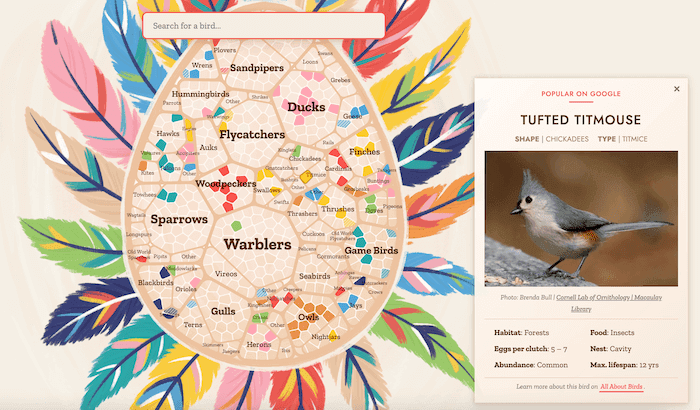 Data visualization a forma di uovo, circondato da piume di uccello di molti colori. L’interno dell’uovo è diviso in cluster con i nomi di diversi uccelli: i cluster più grandi sono quelli dedicati agli uccelli più facilmente visibili durante il birdwatching negli Stati Uniti. Sulla destra, la scheda di un uccello chiamato Tufted Titmouse, cioè la Cincia bicolore. Data visualization a forma di uovo, circondato da piume di uccello di molti colori. L’interno dell’uovo è diviso in cluster con i nomi di diversi uccelli: i cluster più grandi sono quelli dedicati agli uccelli più facilmente visibili durante il birdwatching negli Stati Uniti. Sulla destra, la scheda di un uccello chiamato Tufted Titmouse, cioè la Cincia bicolore.