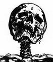 Substack profile picture for @skeleton