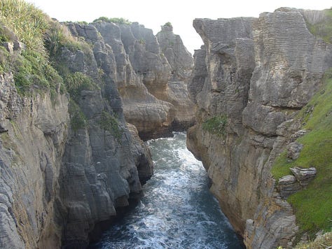 Photos of a seal on a rock, a small brown bird called a weccu on a rock, and a river cutting through high cliffs.