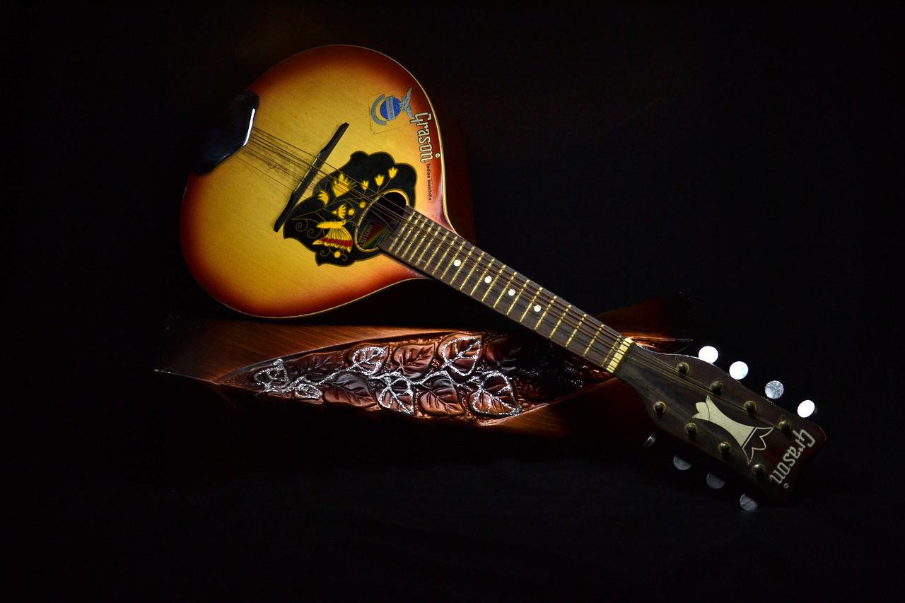 Mandolin guitar Mandolin guitar