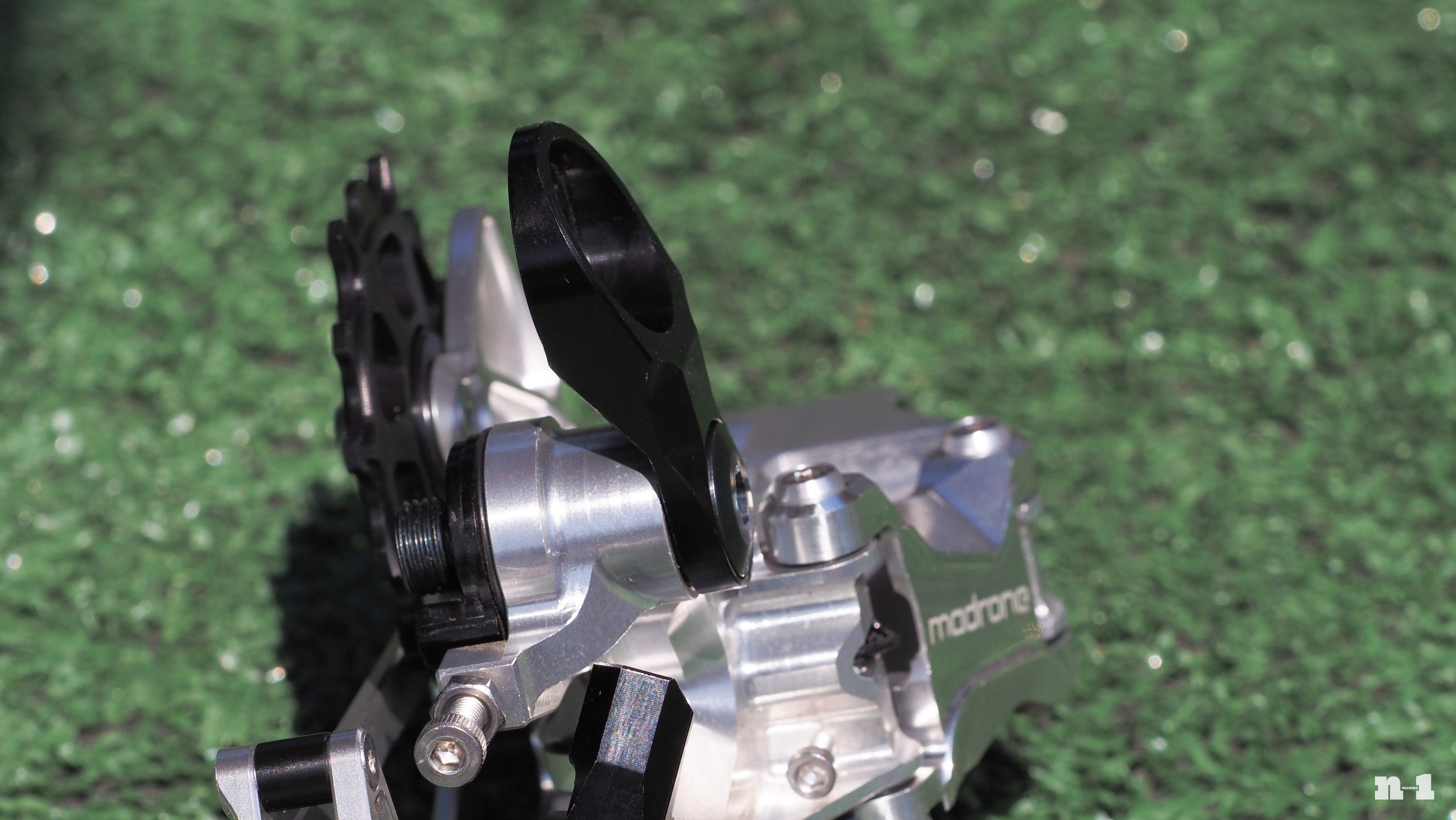 Madrone UDH mounting