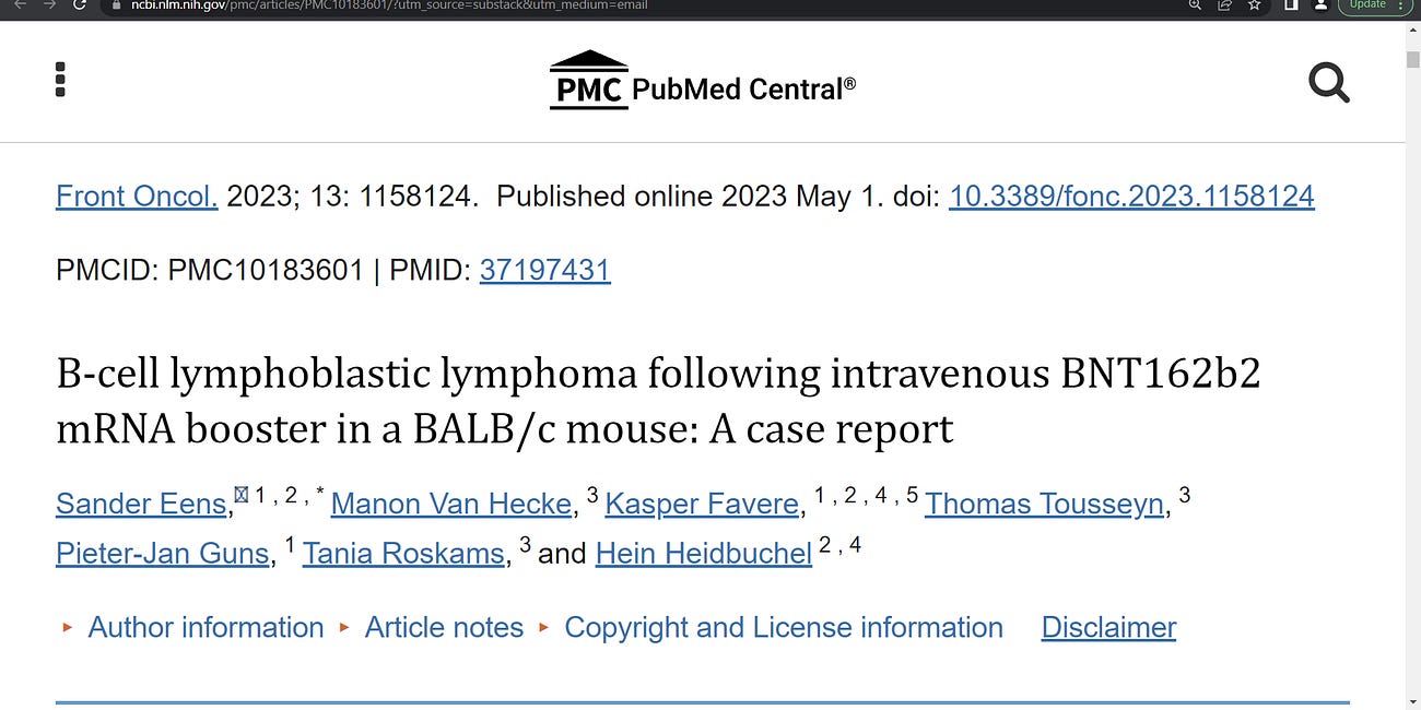 Devastating aggressive (TURBO) cancer, B-cell lymphoblastic malignant lymphoma, after Pfizer mRNA technology based gene injection vaccine (Malone, Kariko, Weissman) in a mouse model, n=14 mice (note, 