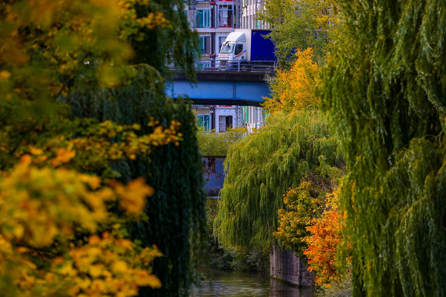 Autumnal colour in central Bristol