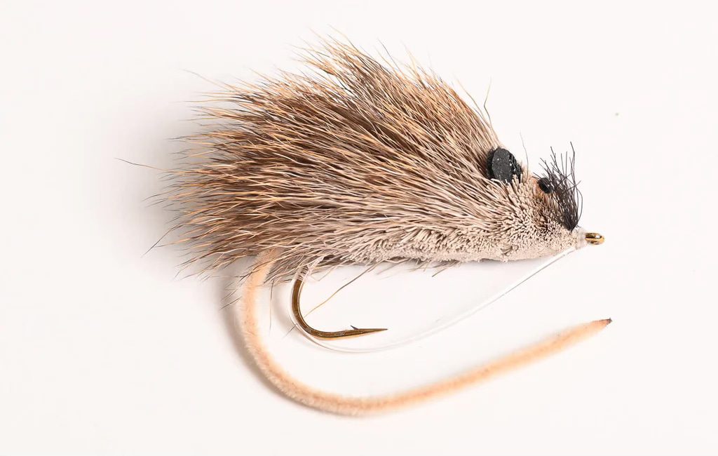 Beech Mast 2026 Forecast