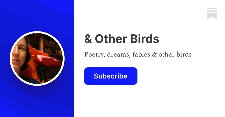 & Other Birds | Substack