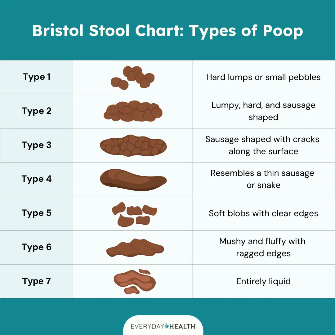 Bristol Stool Chart: 7 Types of Poop Bristol Stool Chart: 7 Types of Poop