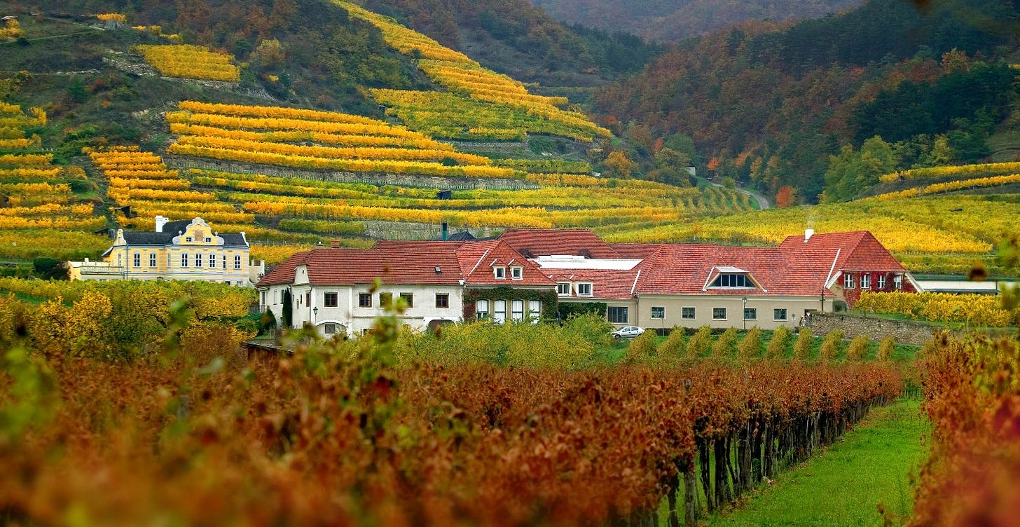 Domäne Wachau - Winery and vineyards (Photo courtesy Domäne Wachau) Domäne Wachau - Winery and vineyards (Photo courtesy Domäne Wachau)