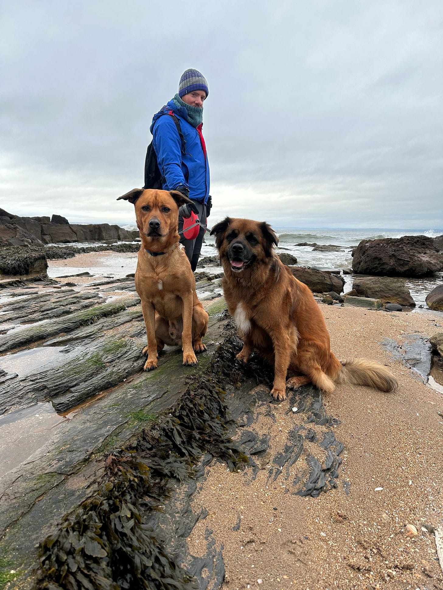 Me on a Scottish beach with 2 dogs Me on a Scottish beach with 2 dogs