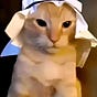 Ayrab_cat's avatar