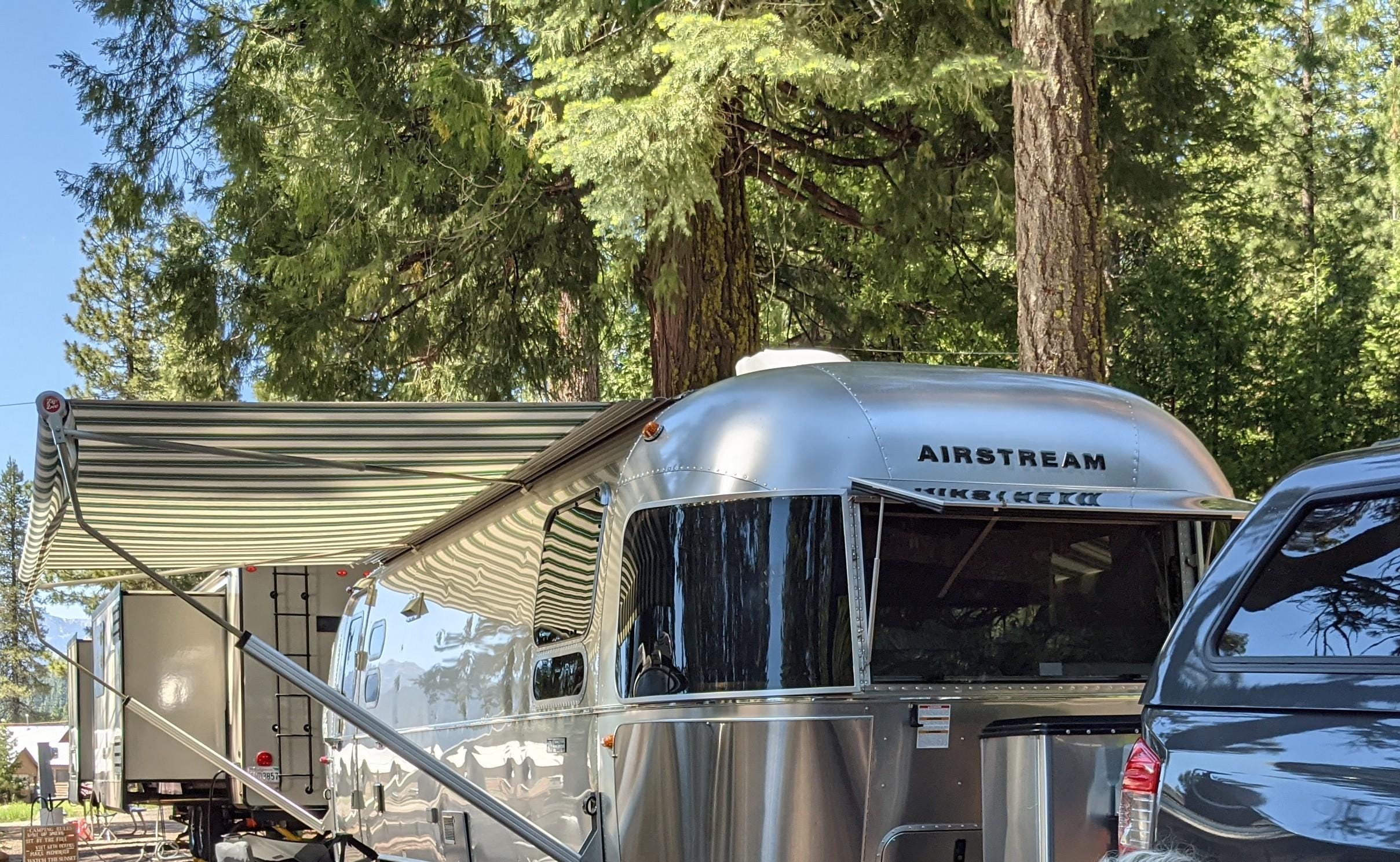 RV Camping near Prehistoric Birds in the Forest.