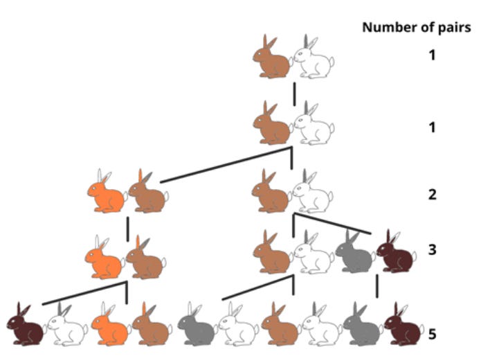 Riddle Rabbit The Rabbit Riddle That Changed Math