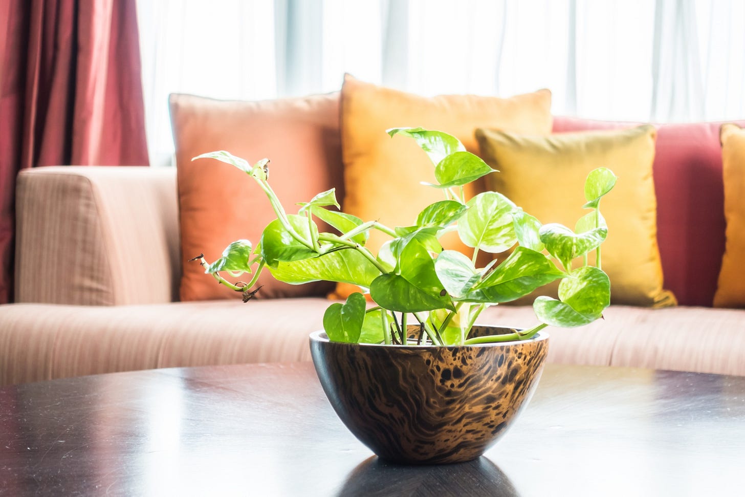 Feng shui home.