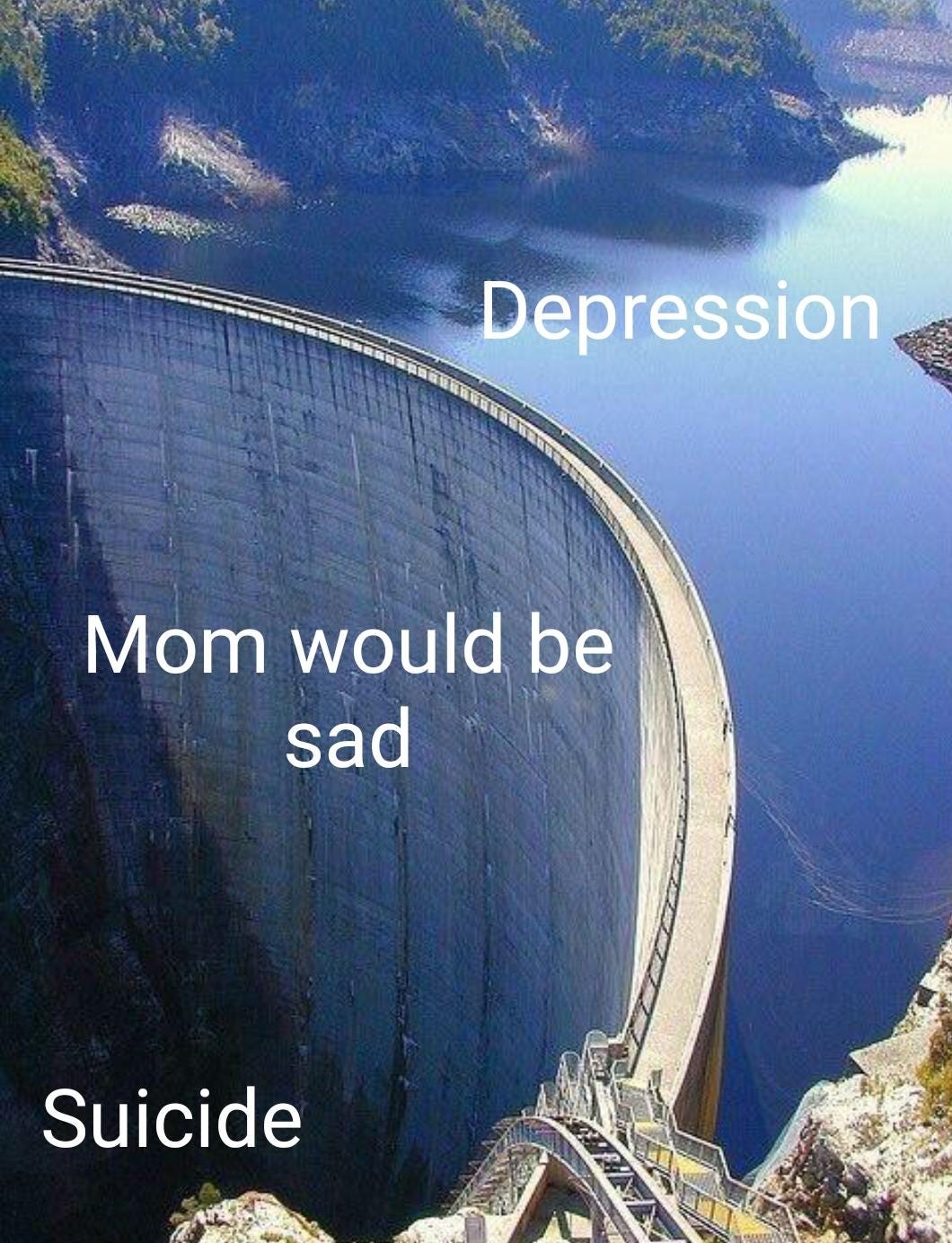 Mom would be sad : r/memes