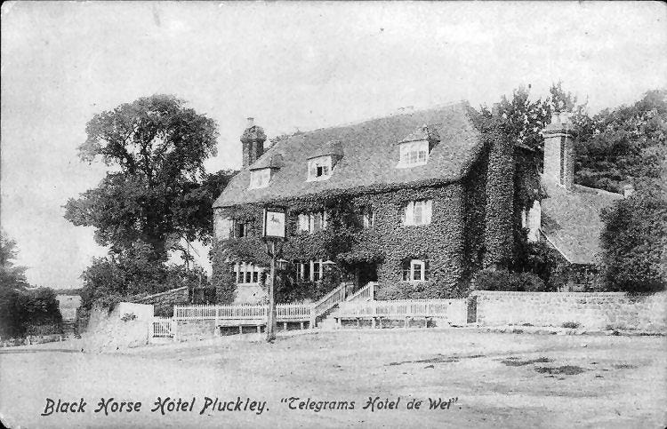 Black and white photographic postcard of the Black Horse Hotel in Pluckley (date unknown, ca. 1920s?). Image shows a large brick building covered in ivy next to a large tree with a wide open street to the fore