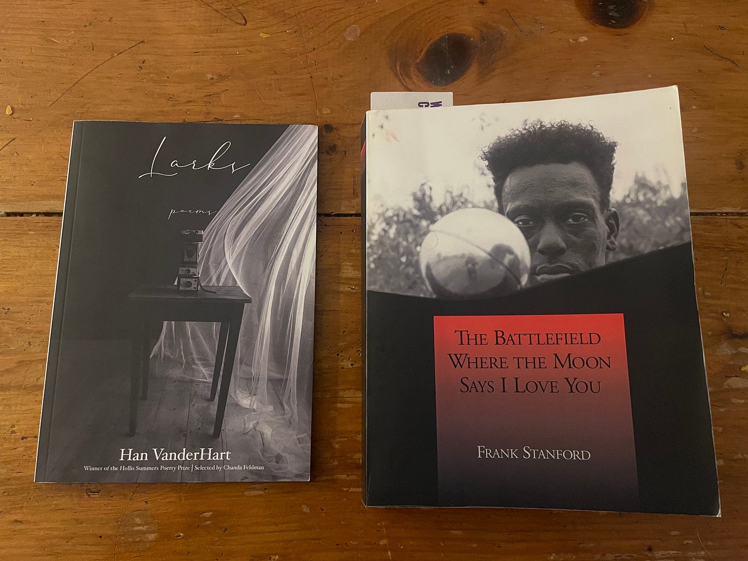 Larks by Han VanderHart and The Battlefield Where The Moon Says I Love You by Frank Stanford