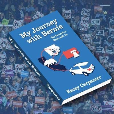 My Journey with Bernie book, DNC 2016, Independence Hall, Green glow-in-the-dark shirts, 2016 DNC Delegate Badge, Delegates, Protestors, and Volunteers in Philadelphia, Lighted FEEL THE BERN Shirt
