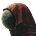Veroosh's avatar