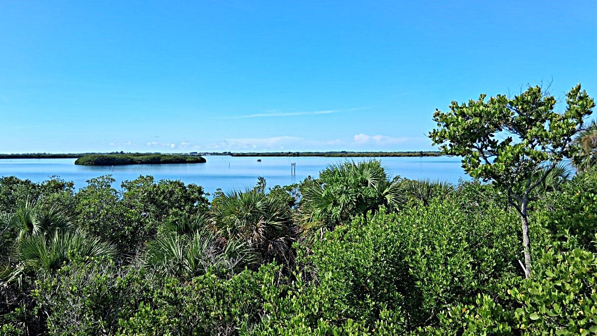 Overlooking the Indian River Lagoon, Pelican Island NWR