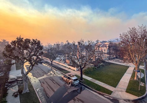 Fires burn trees first then houses. Pines and Palms are highly flammable always.