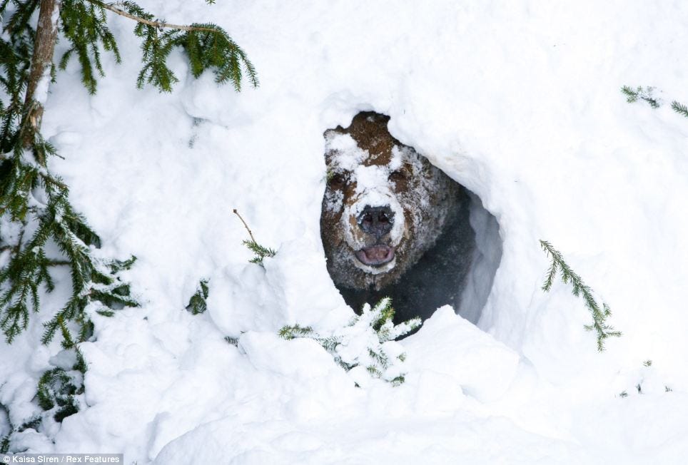 article-2105850-11E35EAD000005DC-344_964x652[1]