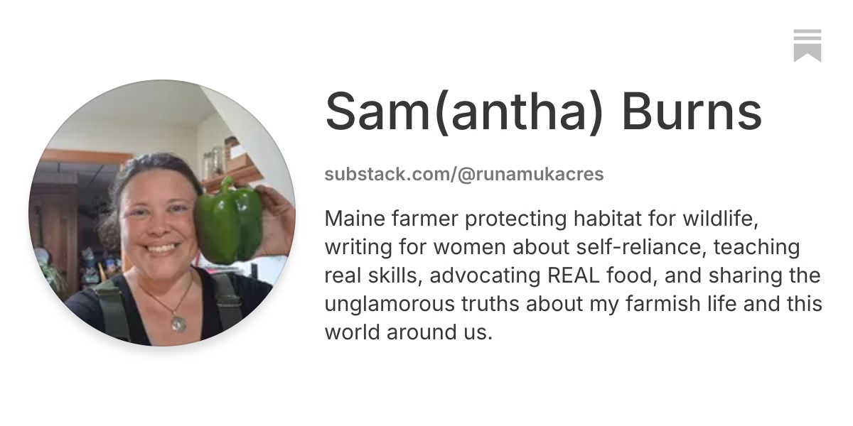 Sam(antha) Burns | Substack