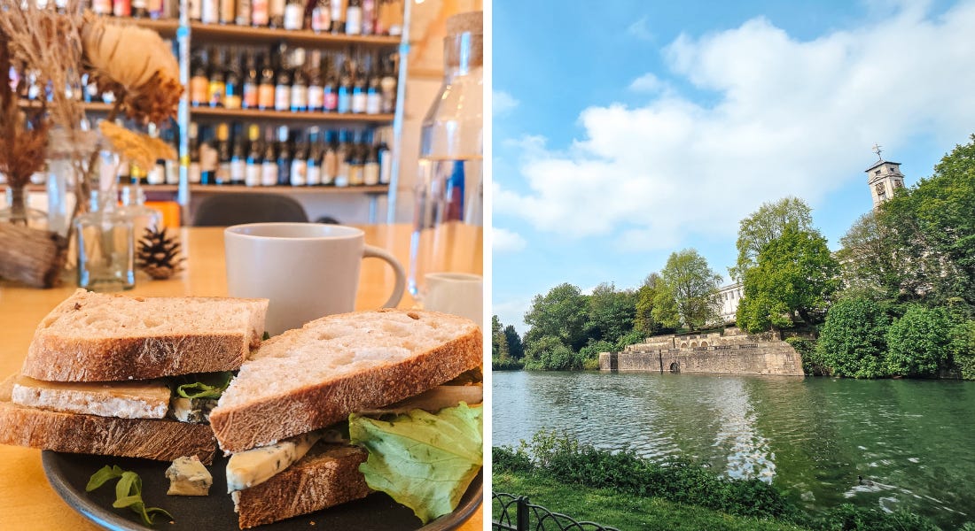 A sandwich with blue cheese in it with a wine shelf behind it, and a park with a lake and greenery